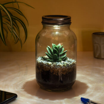 Lichtgevend terrarium